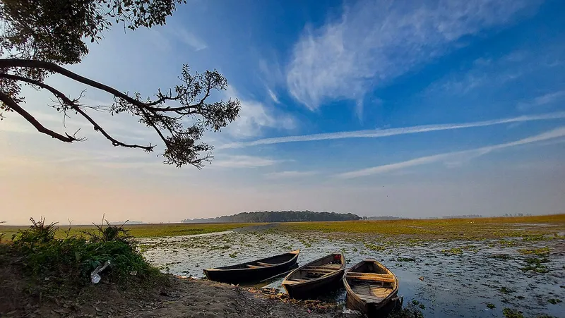 Kanwar Lake Bird Sanctuary, Begusarai