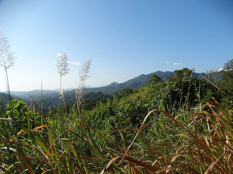 Barail Wildlife Sanctuary, Cachar