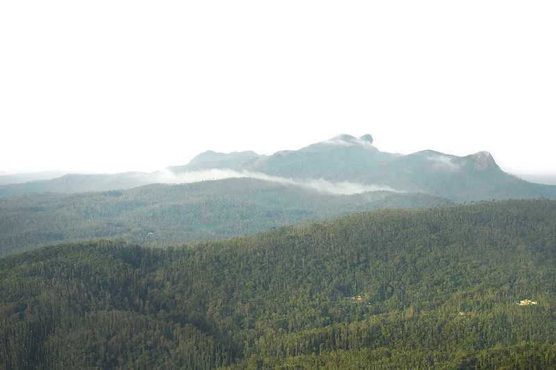 Mullayyanagiri, Chikkamagaluru