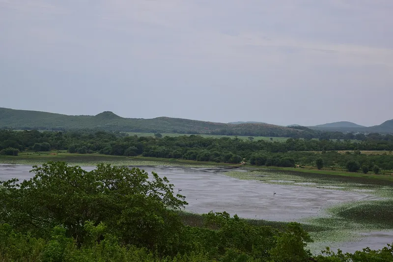 Anshupa Lake, Cuttack