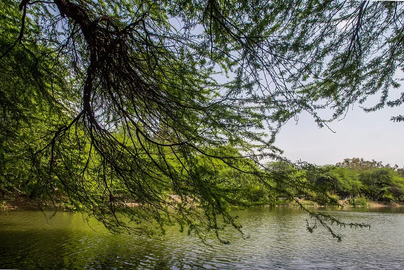 Sanjay Lake, East Delhi