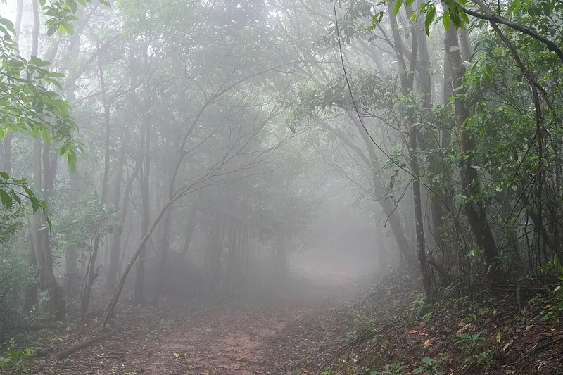 Nokrek National Park, East Garo Hills