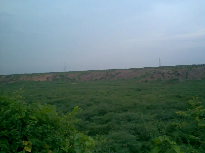 Badkhal Lake, Faridabad