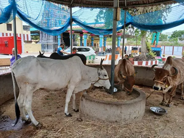 Vaikuntapuram Temple, Guntur