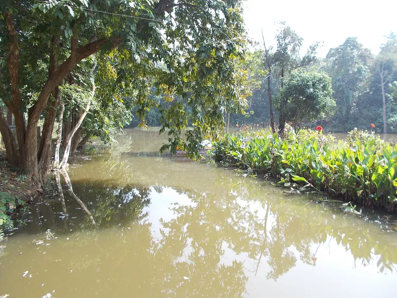Hazaribagh Wildlife Sanctuary, Hazaribagh