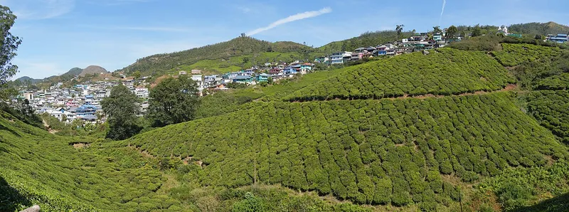 Munnar, Idukki