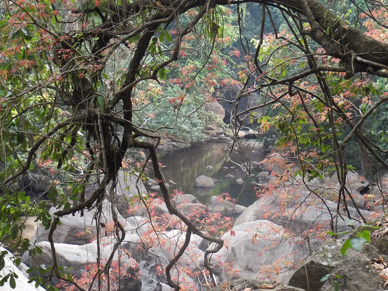 Thommankuthu Waterfall, Idukki