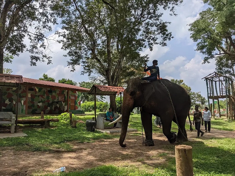 Dubare Elephant Camp, Kodagu