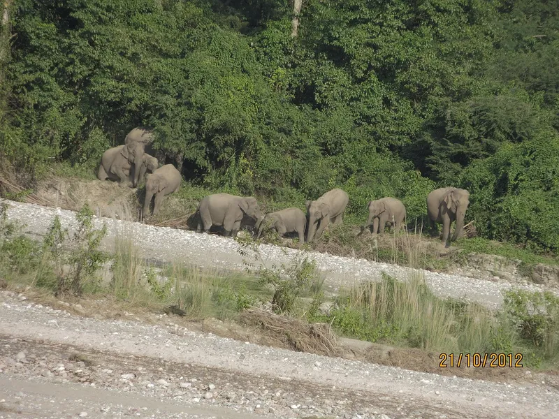 Raimona National Park, Kokrajhar
