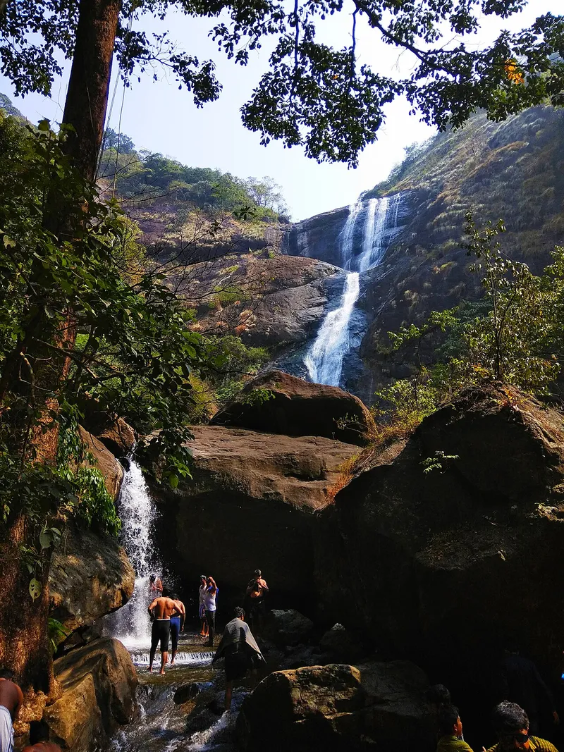 Palaruvi Waterfalls, Kollam