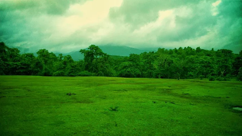 Cotigao Wildlife Sanctuary, Kushavati
