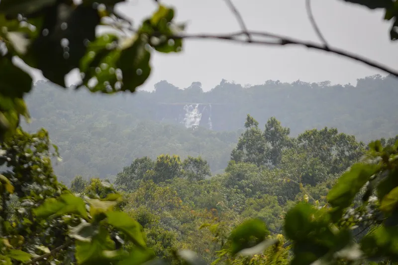 Kanger Valley National Park, Narayanpur