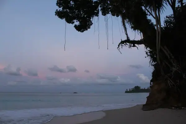 Great Nicobar National Park, Nicobar