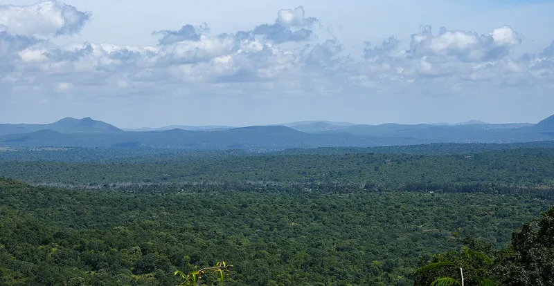 Mudumalai Tiger Reserve, Nilgiris