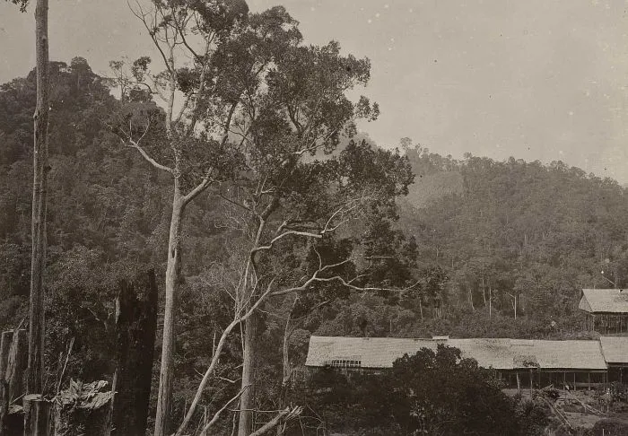 Khoupum Valley, Noney