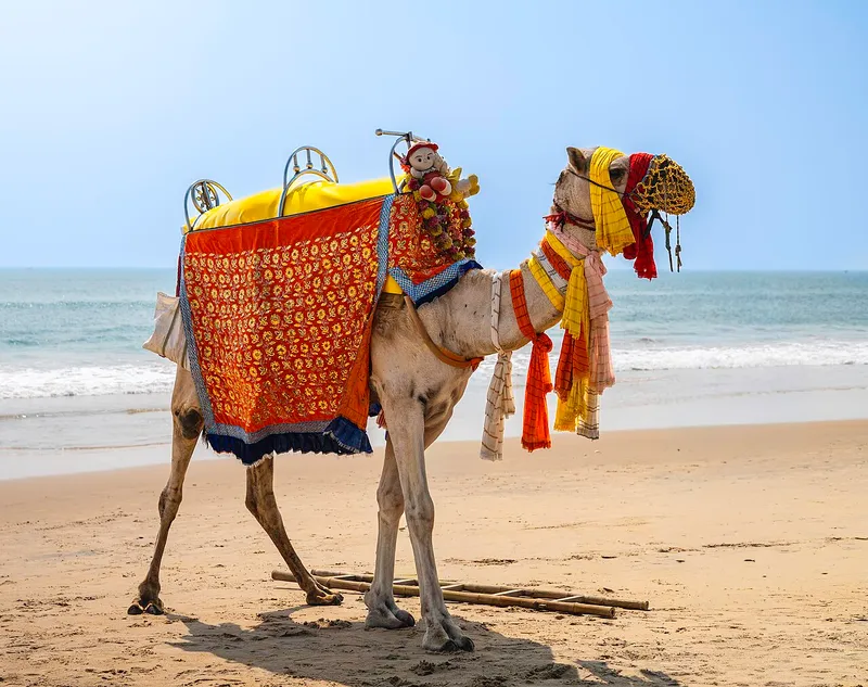 Puri Beach, Puri