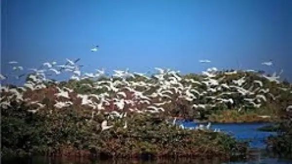 Samaspur Bird Sanctuary, Raebareli — Ramsar-designated wetland with 250+ bird species, Rae Bareli