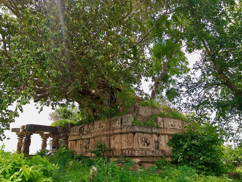 Maneru River, Rajanna Sircilla
