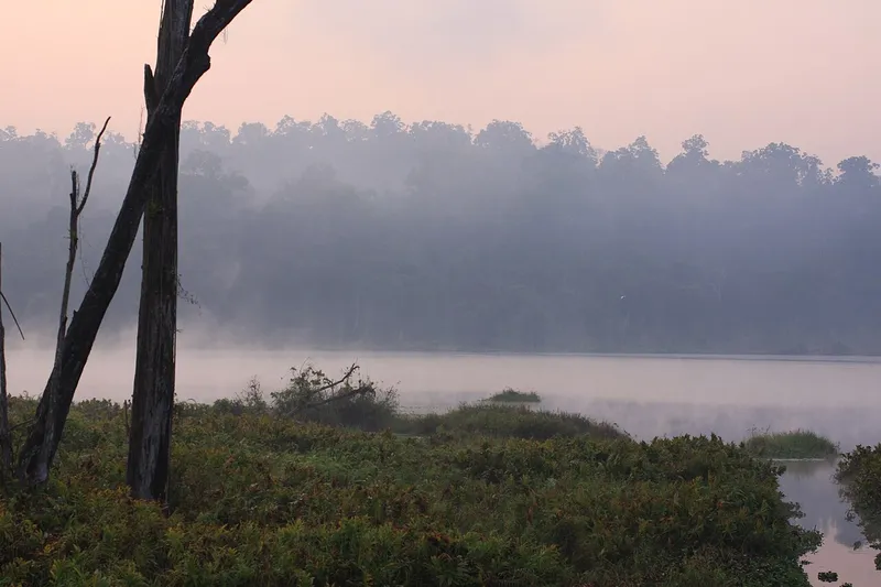 Palak Lake, Saiha