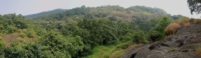 Sanjay Gandhi National Park, Thane