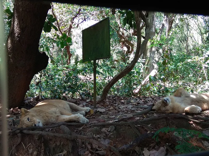 Neyyar Wildlife Sanctuary, Thiruvananthapuram