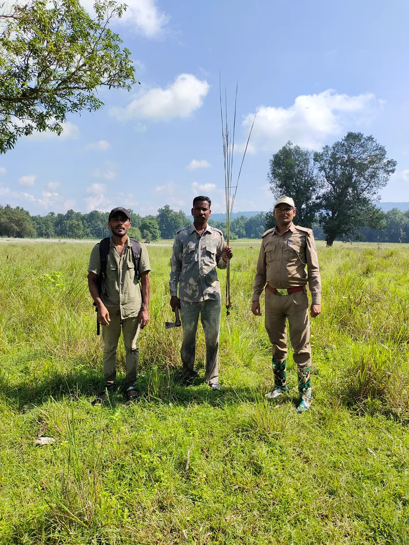 Bor Tiger Reserve, Wardha