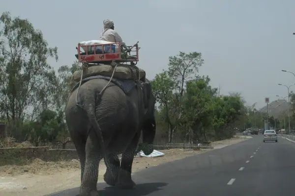 Delhi highway on NH 48 (Delhi–Mumbai–Chennai)
