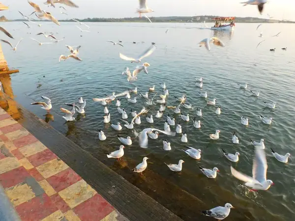 Somnath ghat, Somnath