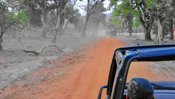 Bandhavgarh National Park entrance, Umaria