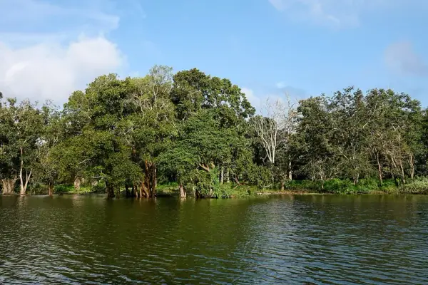 Nagarhole National Park, Nagarhole