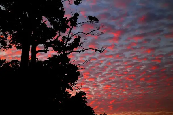 Neil Island sunset, Neil
