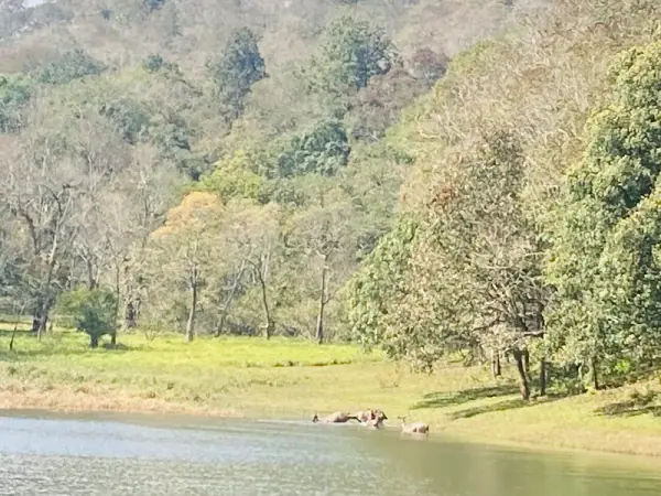 Periyar Wildlife Sanctuary Kerala, Thekkady