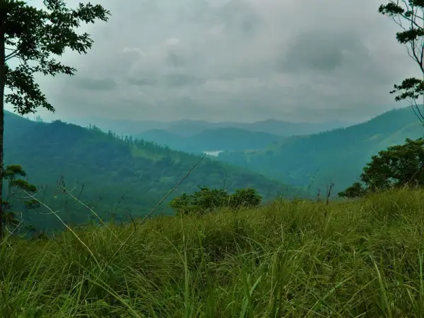 Periyar Wildlife Sanctuary, Thekkady