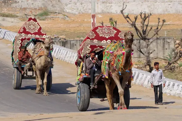 Pushkar, Pushkar