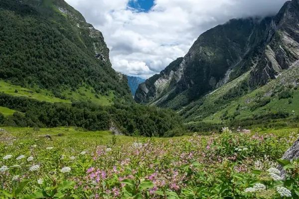 Valley of Flowers, Govindghat