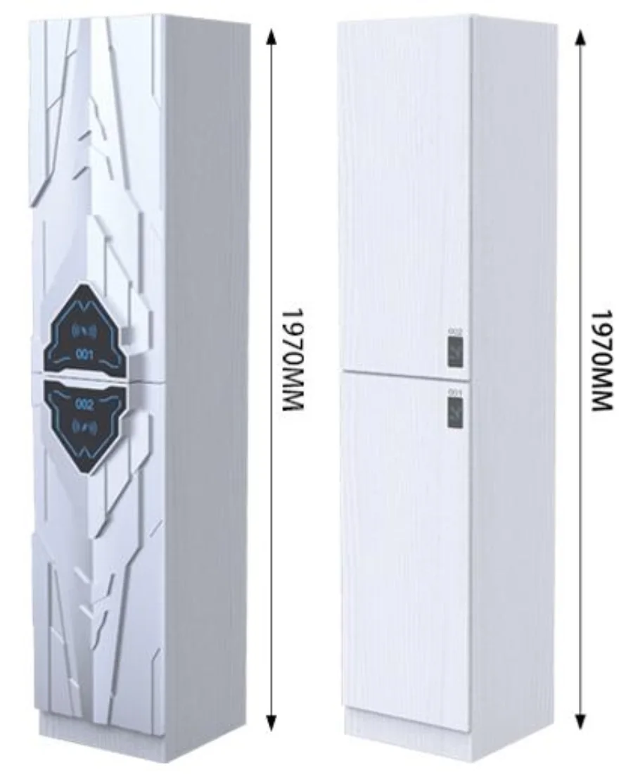 Luggage Cabinet (smart door lock, 2-layer, granular board)
